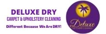 Deluxe Dry Carpet Cleaning